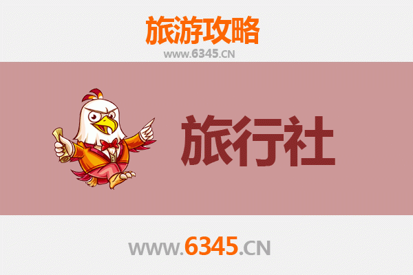阜阳太和本地旅行社推荐及旅行攻略