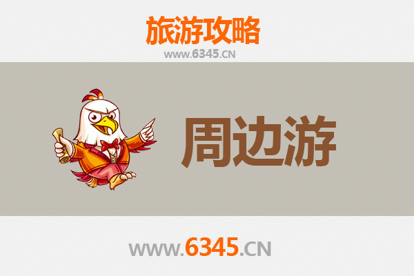阜阳太和周边游攻略：探索皖北人文与自然之美