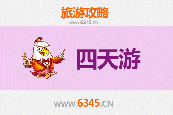 阜阳太和四天三夜深度游攻略：探索皖北文化瑰宝与美食之旅
